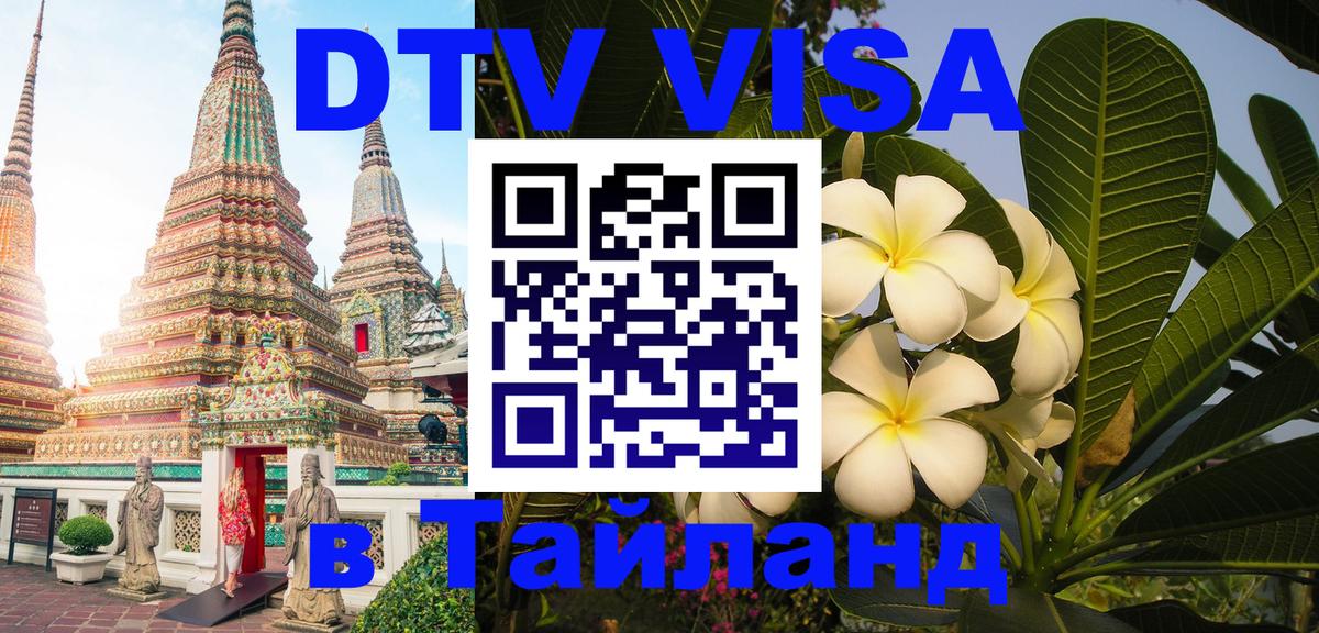 Сколько стоит DTV виза — актуальные цены, оформление даже без документов - 